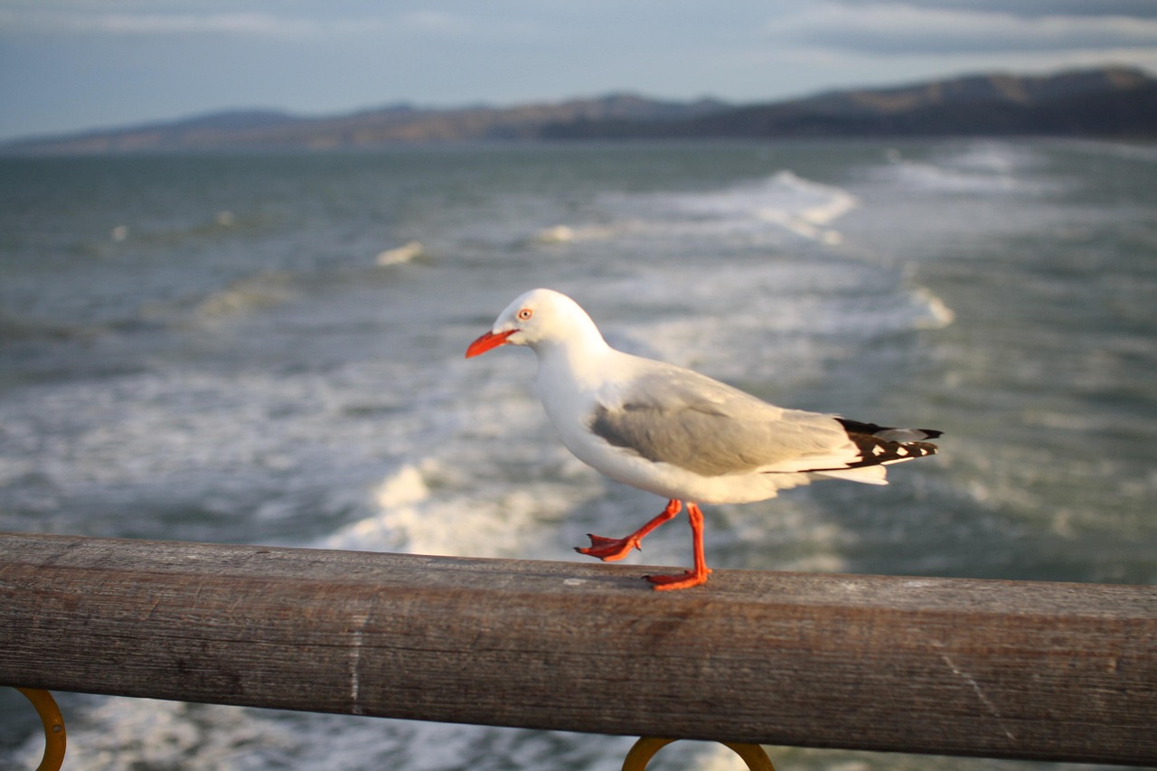 Test post title